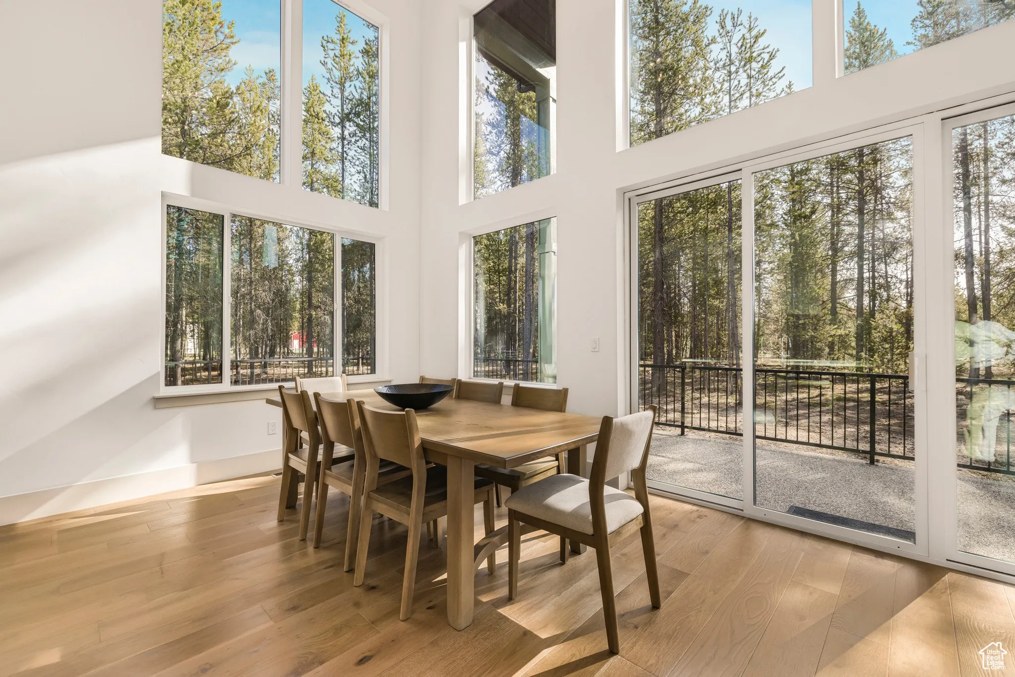 Dining area framed by floor-to-ceiling windows onto the pines